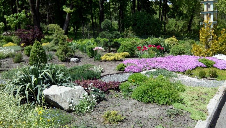 Dnipropetrovsk National University Botanic Garden, Ukraine